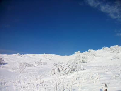 伊吹山の頂が見えた。雲がはけて一気に青空になったので良かった！