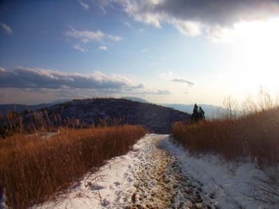 夕方のススキと雪道。これはこれでいい感じだった