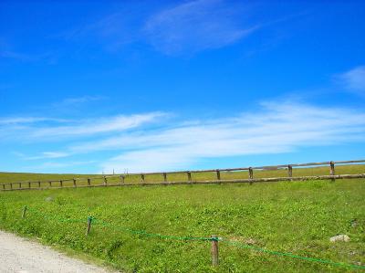 高原をひたすら歩いていく。目的地は王ヶ頭