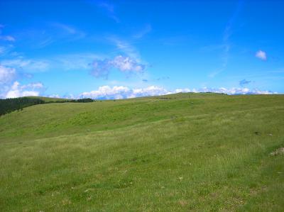青空とグリーンの高原が素晴らしい。今日は本当に運が良い日かも。でもいつも美ヶ原に来ると天気がいいんだよね