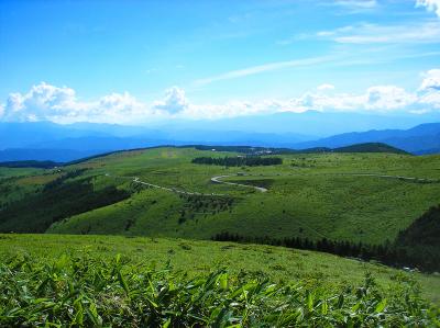 こうしてみると霧ヶ峰も本当に広い高原地帯だ。高原地帯と道路も絵になっている