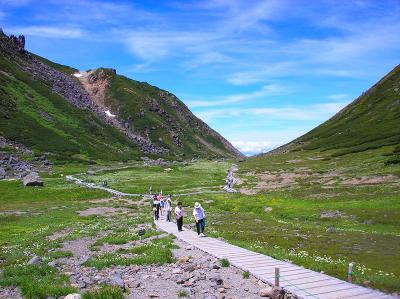 お花畑！？遊歩道に出ると人が結構歩いていた。やっぱ人気なのね