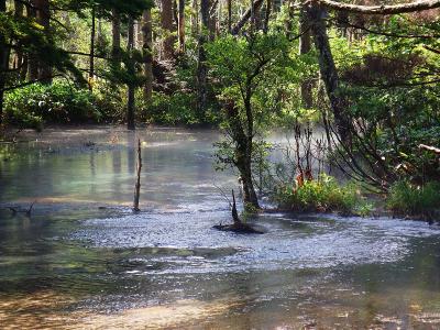 梓川のこういう風景が好きなんよね。なんとなく神秘的