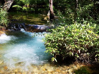 昔は梓川は汚かったらしいけど、今ではすっかり綺麗な沢になっている
