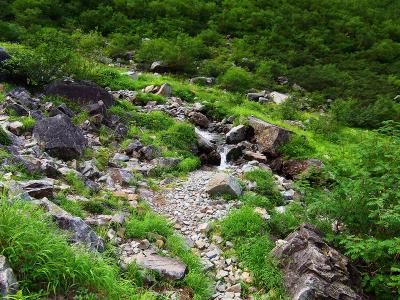 本谷橋から先の涸沢までは沢沿いを歩く。休憩たくさん入れていたので体力的には余裕