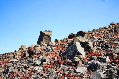 こんな感じのところを登っていく・・・この岩は千トン岩というらしい？足場悪く、空気薄いので息も切れる