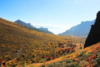 コル部もかなり色づき始めていて夕方にみる風景は美しかった