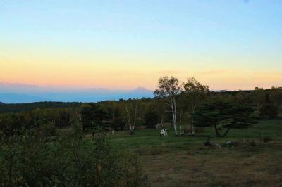 朝からいい天気♪雨が降りそうな予感・・・