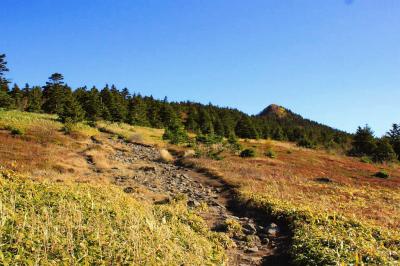 左側に山頂ピークが見えた