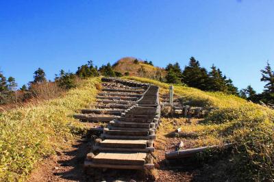 ピーク直下は階段になっていた