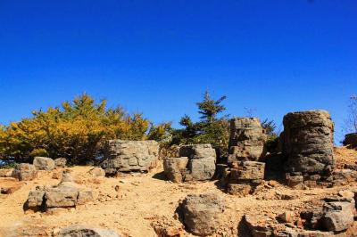 緑と土と岩と青のコラボ