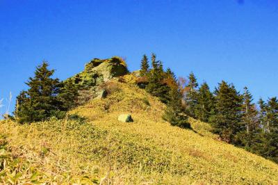 岩が緑になっている