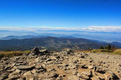 山頂付近はこんな感じ
