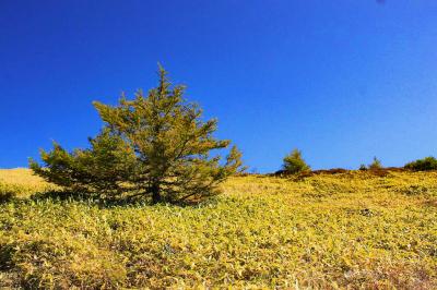 まるで絵になっている