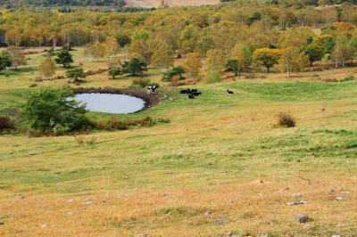牧場まで戻ってきた。この段階でもう空は雲に覆われた