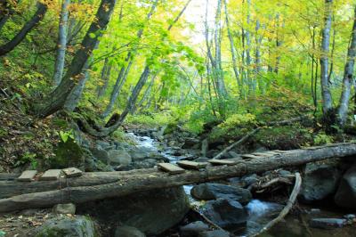 ここで沢を渡る