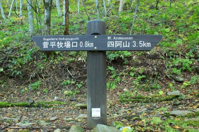 3.5kmだけど、この表示は4.5kmの間違いかと・・・