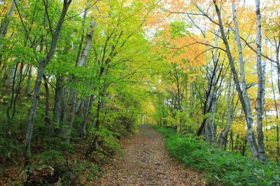 もうすぐ紅葉だなぁ～