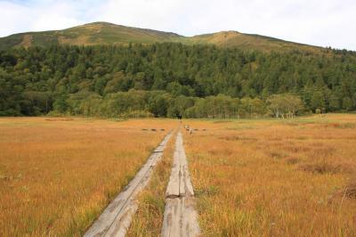 ここから至仏山登山道になるのか