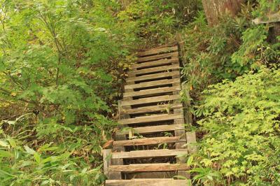 最初は階段を登っていって少し急登になる