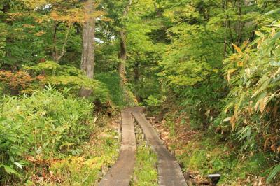 整備された木道を歩いていく