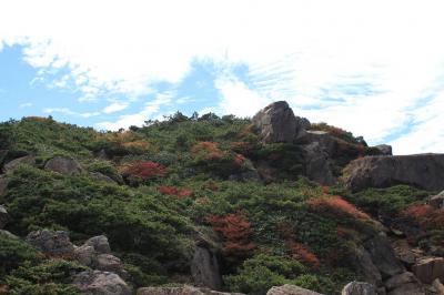 上のほうはすでに色づいている樹林もあった。まだ９月末なのにね