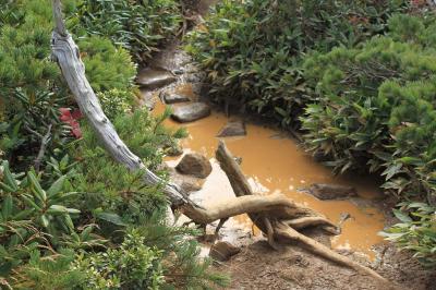 雨なんか降ってないのにこの水たまりはなんだろうか
