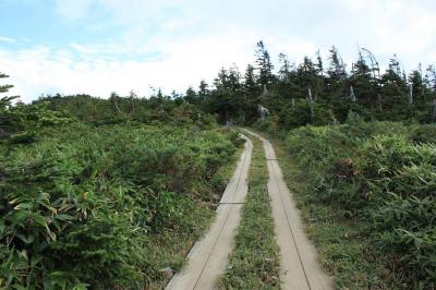 ずいぶん下りてくると再び木道の道になる