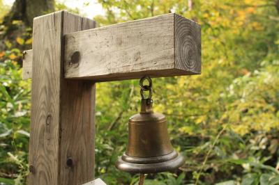 思わずパシャッ