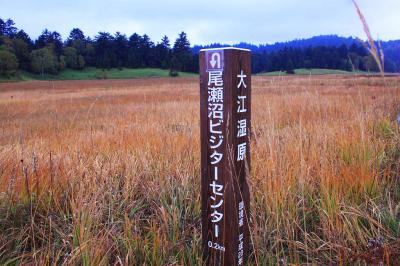 ビジターセンターから0.2km地点。尾瀬ヶ原を歩いていく