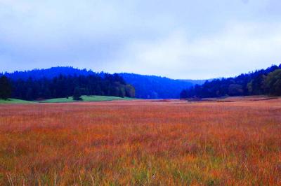 本当に広い湿原地帯だな。どこまで続くんだろうか