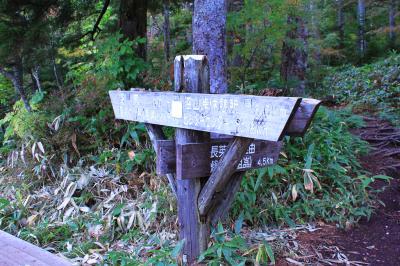 下山時はここへ降りてくるようにした