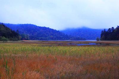 燧ケ岳方面はガスってる。今日は展望諦めないといけないかな