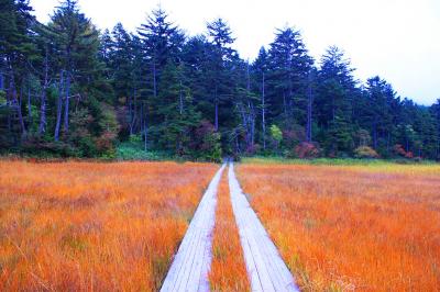 尾瀬ヶ原の木道をひたすら歩く。時間的にはまだ間に合う