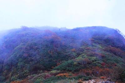 ピーク付近はガスってる