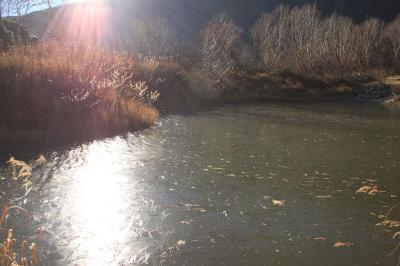 御池の水も凍っていた