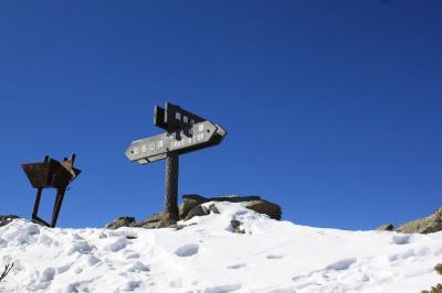 ここで分岐。目指すは北岳山頂