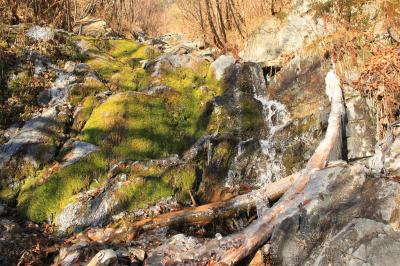 こういう水辺もあって滑り易いところもあり