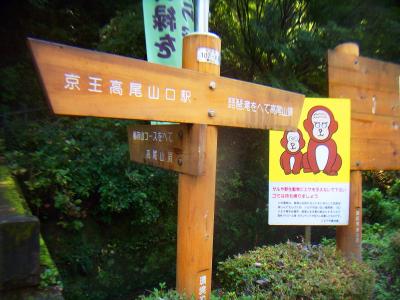 ここで琵琶滝のほうへ行く