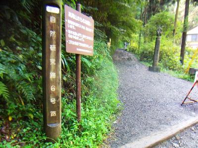 6号路の入口。ここから入山する