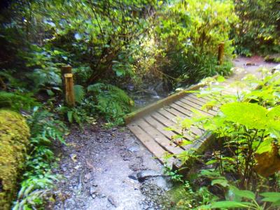 橋を渡るけど、かなり整備された道だ。さすがは高尾山