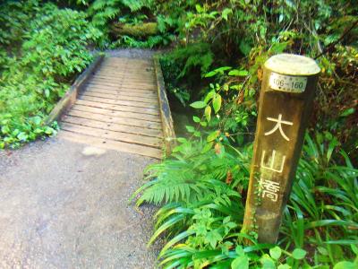 大山橋というのか。こんな小さな橋だけど名前がついているのもすごい