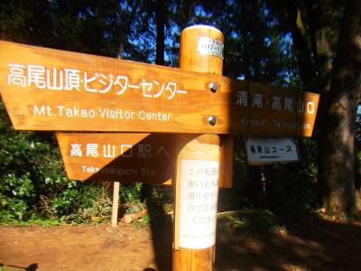 ここでとりあえず高尾山頂ビジターセンターのほうへ行く