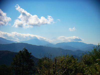 山頂付近からは富士山が望めた。この付近から見る富士山はなんだか薄っすらしてる。遠いからかな！？