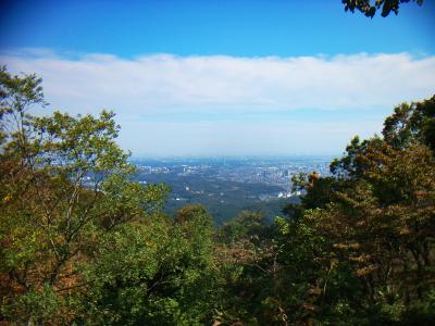 市街地もちょろっと見えるけど、これは夜景を見に行くには視界が狭いね