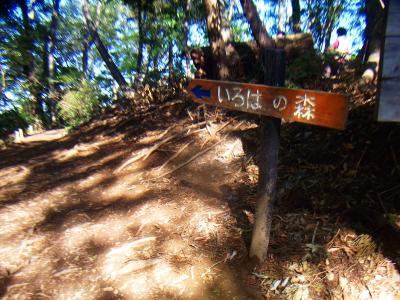いろはの森とはなんだろうねえ