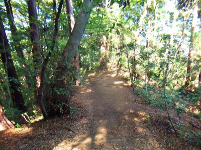 4号路もきっちり踏み跡もあって整備された登山道