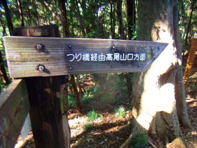 この先に吊り橋がある。4号路はここからだったっけ！？