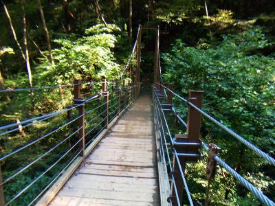 吊り橋だけどこれは立派。綺麗だし、さすが新しい道だけある