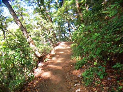 4号路をひたすら下っていく